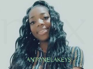 ANTONELAKEYS