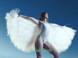 Aerial_Leigh