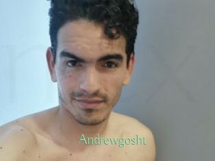 Andrewgosht