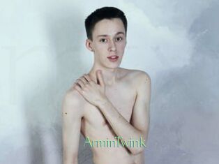 ArminTwink