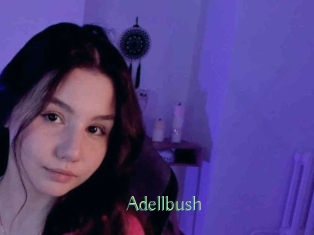 Adellbush