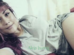 Aleja_burnig