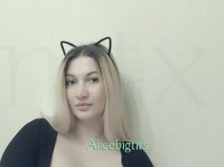 Alicebigtits