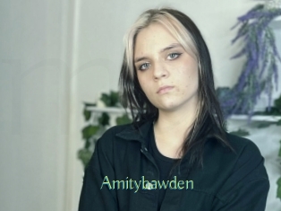 Amitybawden