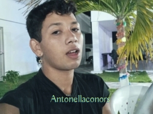 Antonellaconors