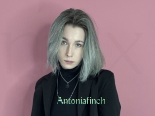 Antoniafinch