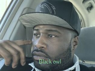 Black_owl