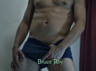 Bruce_Roy