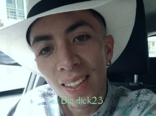 Big_dick23