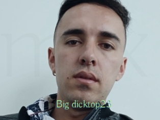 Big_dicktop23