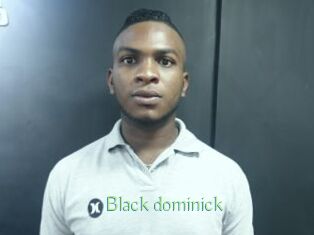 Black_dominick