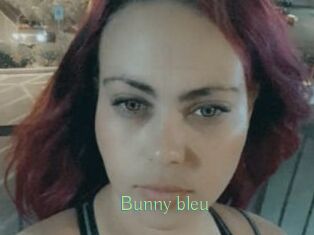 Bunny_bleu