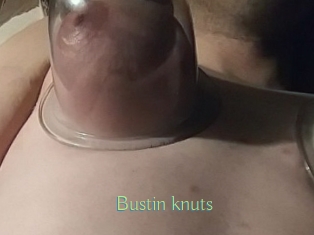 Bustin_knuts