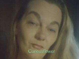 Curiousflower