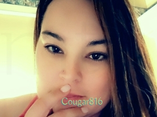 Cougar816