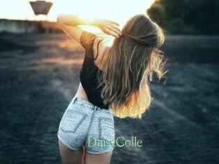 DaisyColle