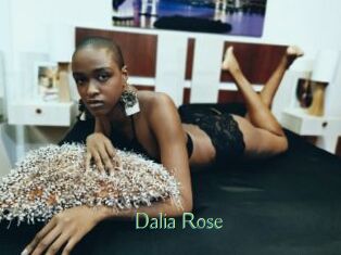 Dalia_Rose