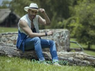DomiinicSantos Motion X