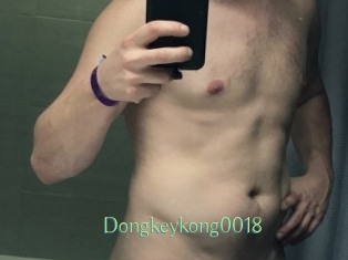 Dongkeykong0018