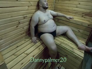 Dannypalmer20