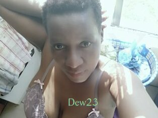 Dew23