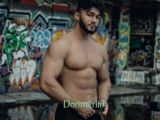 Donmerlin