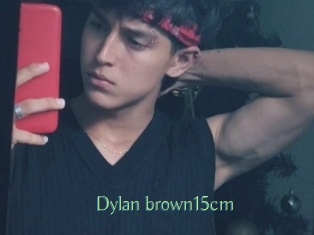 Dylan_brown15cm