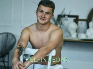 ELFIN_CEDAR