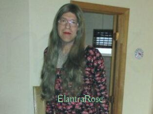 Elantra_Rose