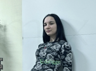 Edafigge