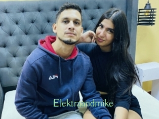 Elektraandmike