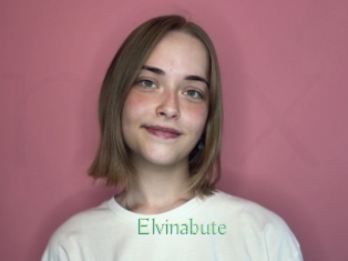 Elvinabute