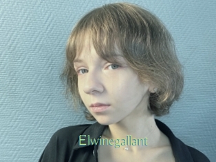 Elwinegallant