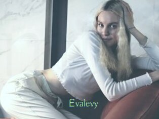 Evalevy