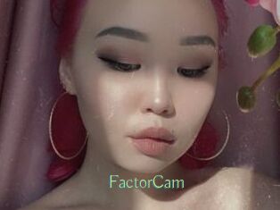 FactorCam