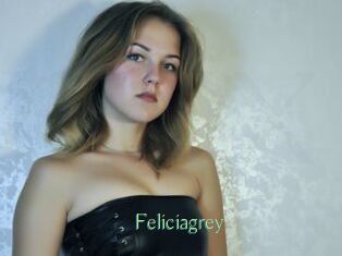 Feliciagrey