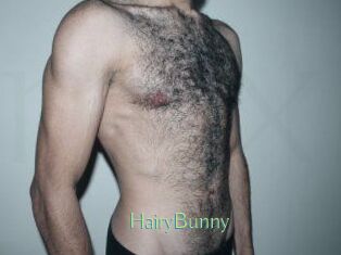 HairyBunny