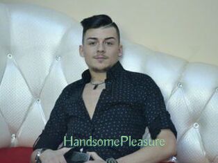 HandsomePleasure