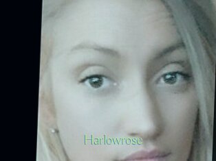 Harlowrose