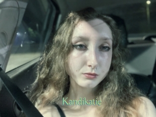 Kandikatie