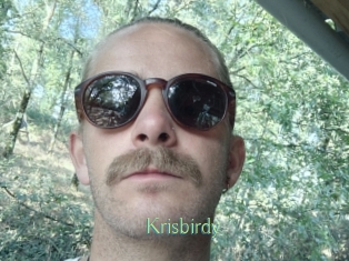 Krisbirdy