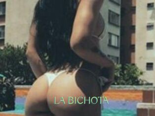 LA_BICHOTA