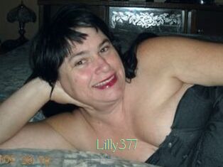 Lilly377