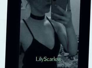 Lily_Scarlett