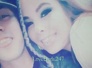 LoveBirds247