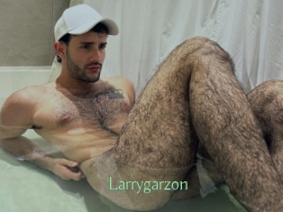 Larrygarzon