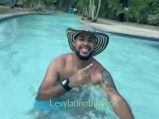 Levylatinobigcock