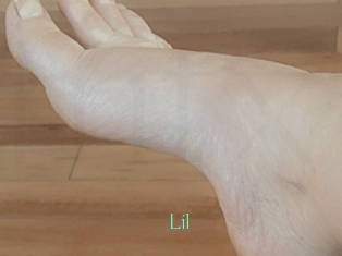 Lil