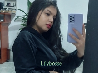 Lilybosse