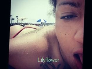 Lilyflower